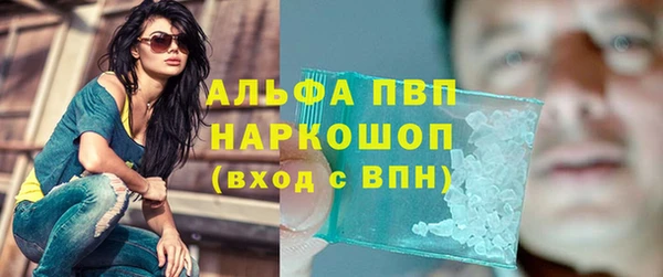 винт Аркадак